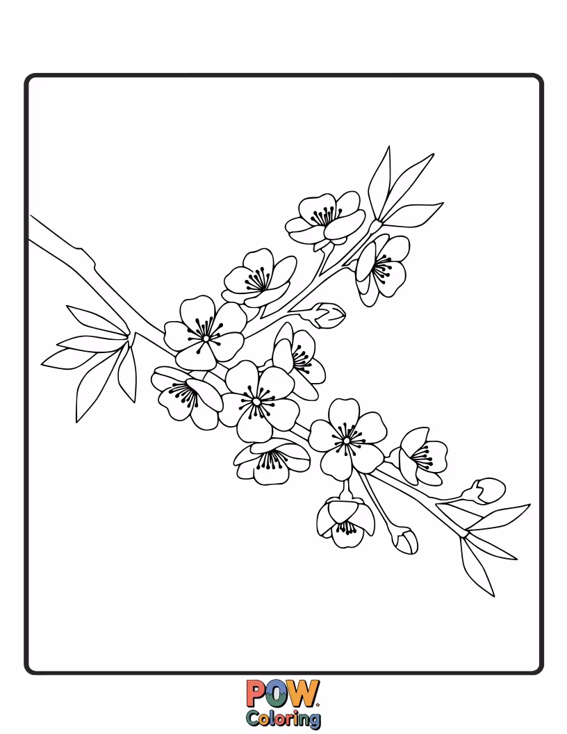 Free coloring page of Delicate cherry blossoms drift and float, creating a beautiful and ethereal scene for a gentle and artistic coloring session.