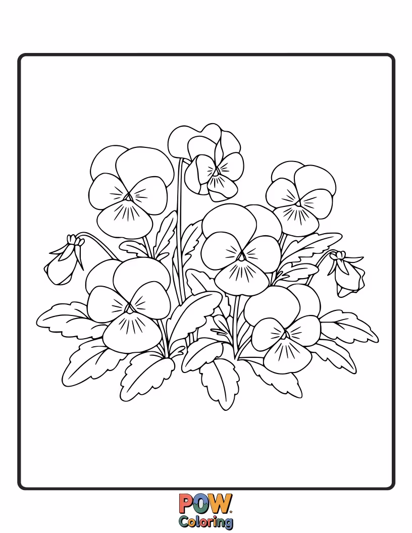 Free coloring page of A vibrant patch of colorful pansies with their distinct markings provides a playful and engaging coloring experience.