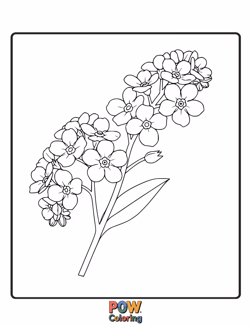 Free coloring page of Tiny, sweet forget-me-nots in clusters offer a delicate and charming subject, perfect for soft and gentle coloring.