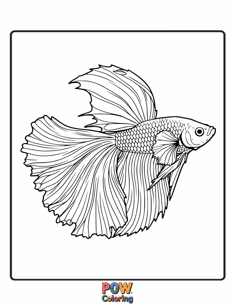 Free coloring page of A betta fish showcasing its beautiful, fanned fins, with bold outlines perfect for little hands to grip and color.