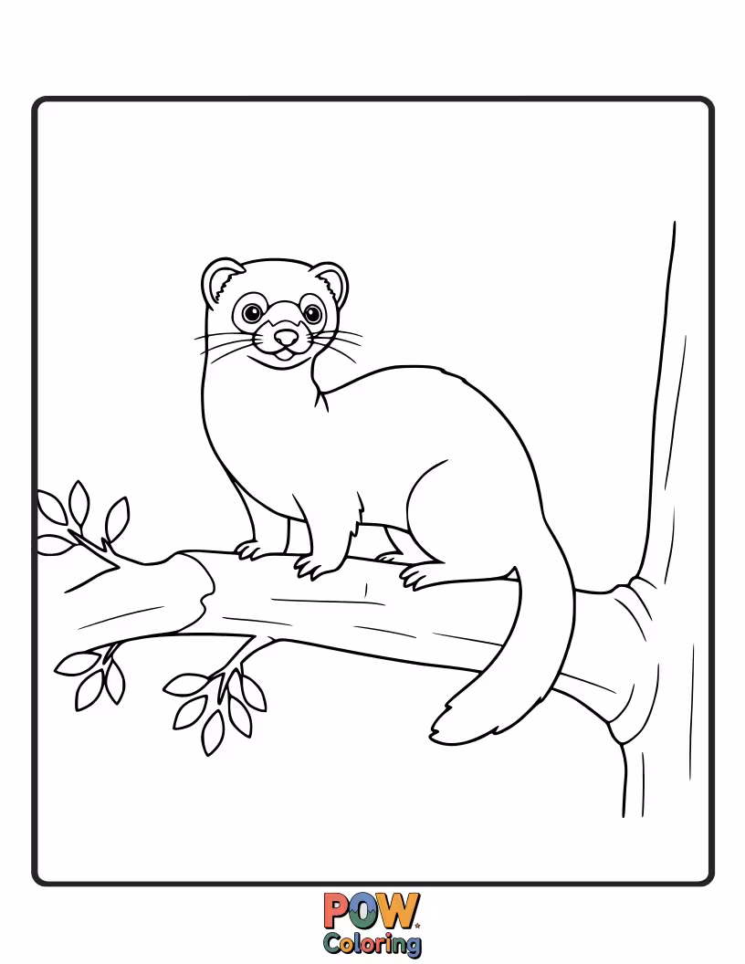 Free coloring page of A curious ferret perched on a thick, leafy tree branch.