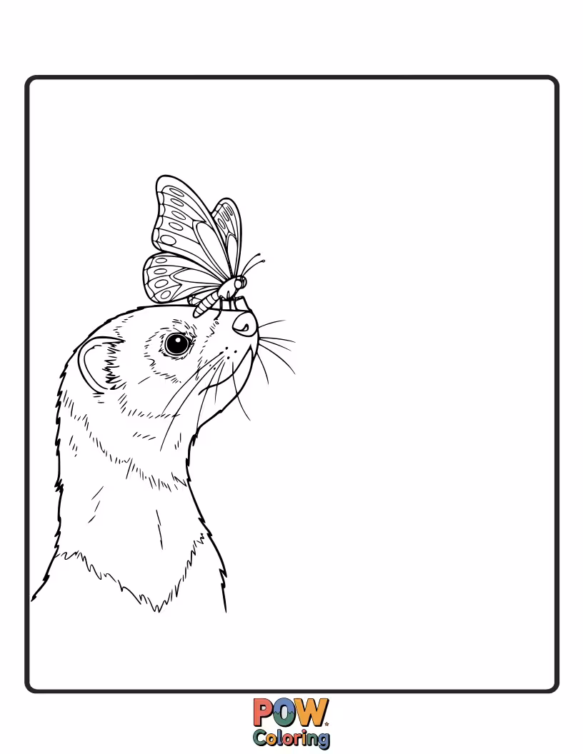 Free coloring page of A gentle ferret watching a beautiful butterfly flutter by.
