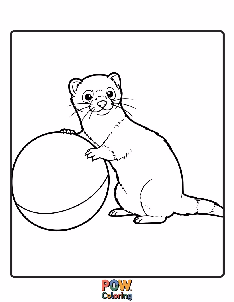 Free coloring page of A lively ferret playfully batting at a round, textured toy ball.