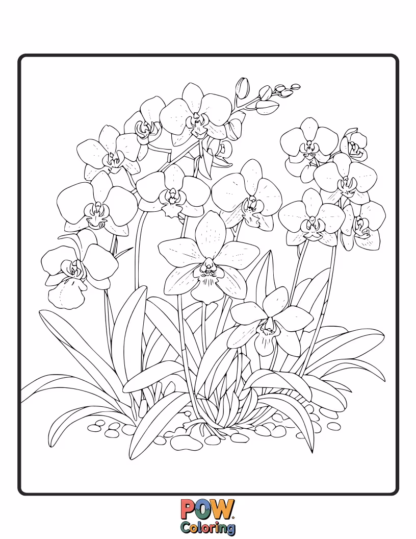 Free coloring page of Exotic and intricate orchids with their unique shapes and patterns offer a sophisticated and artistic coloring challenge.