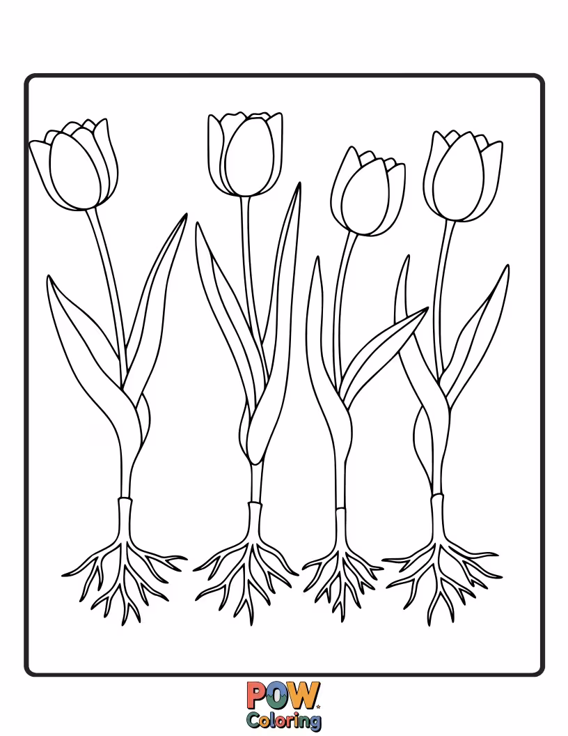 Free coloring page of Tulips shown with their intricate root systems visible underground. An educational and interesting design for coloring.
