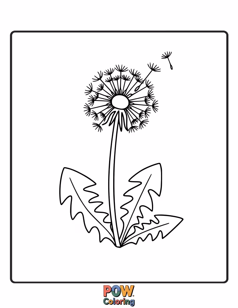 Free coloring page of Fluffy dandelion seeds ready to blow offer a magical and whimsical scene, perfect for imaginative coloring fun.