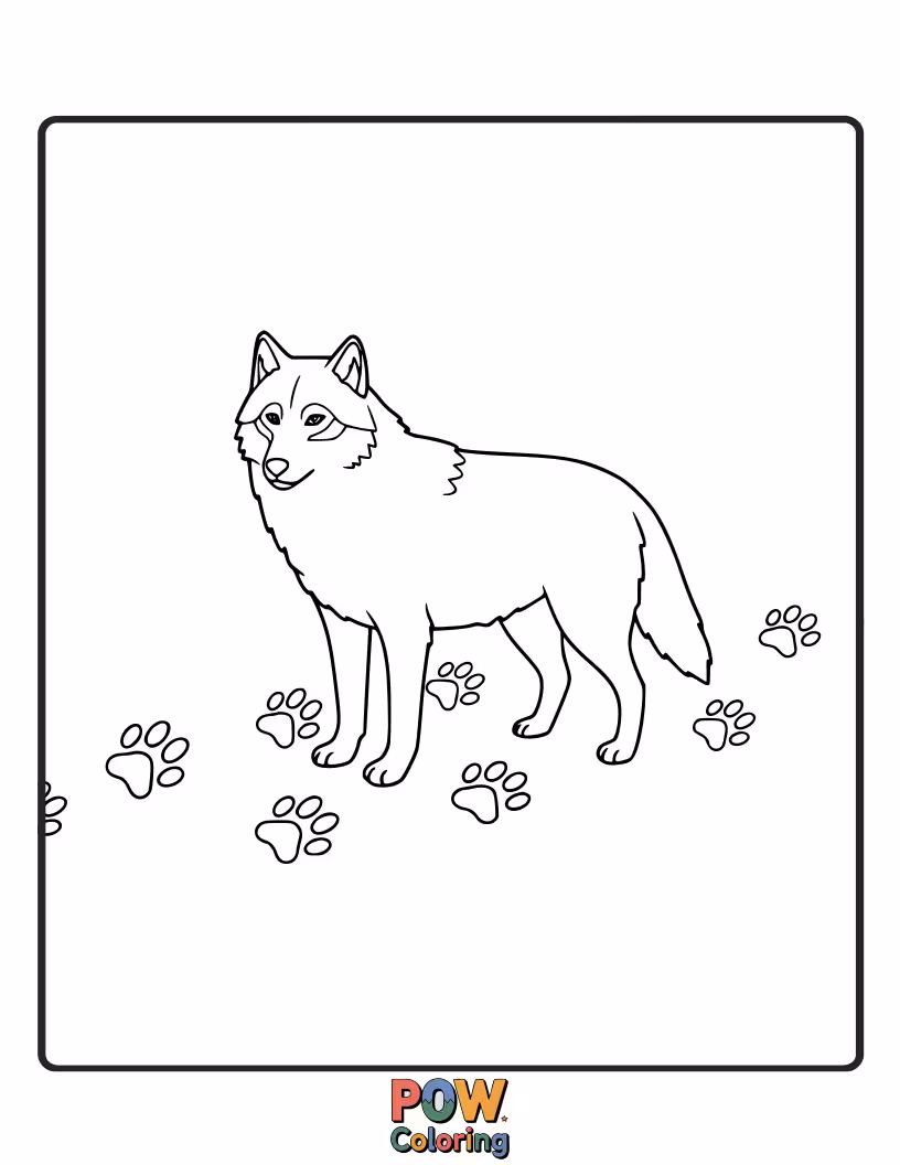 Free coloring page of A wolf leaving a trail of distinctive paw prints as it walks across a path.