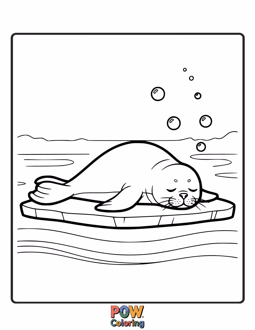 Free coloring page of A plump seal lounging on a rock, enjoying the sun with half-closed, content eyes.