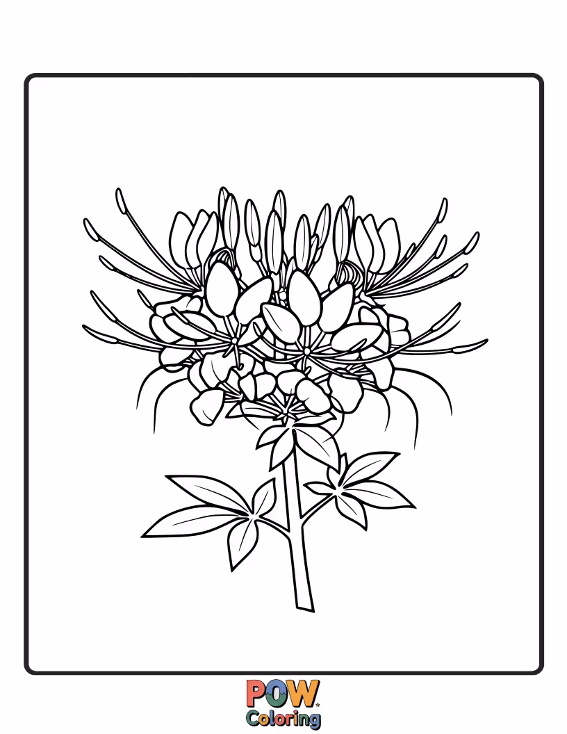 Free coloring page of A majestic spider adorned with delicate floral patterns, perched gracefully on a blooming flower. Evokes elegance and nature.