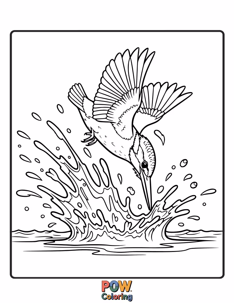 Free coloring page of A dynamic KingFisher captured mid-splash, droplets of water flying in artistic, playful patterns around it.