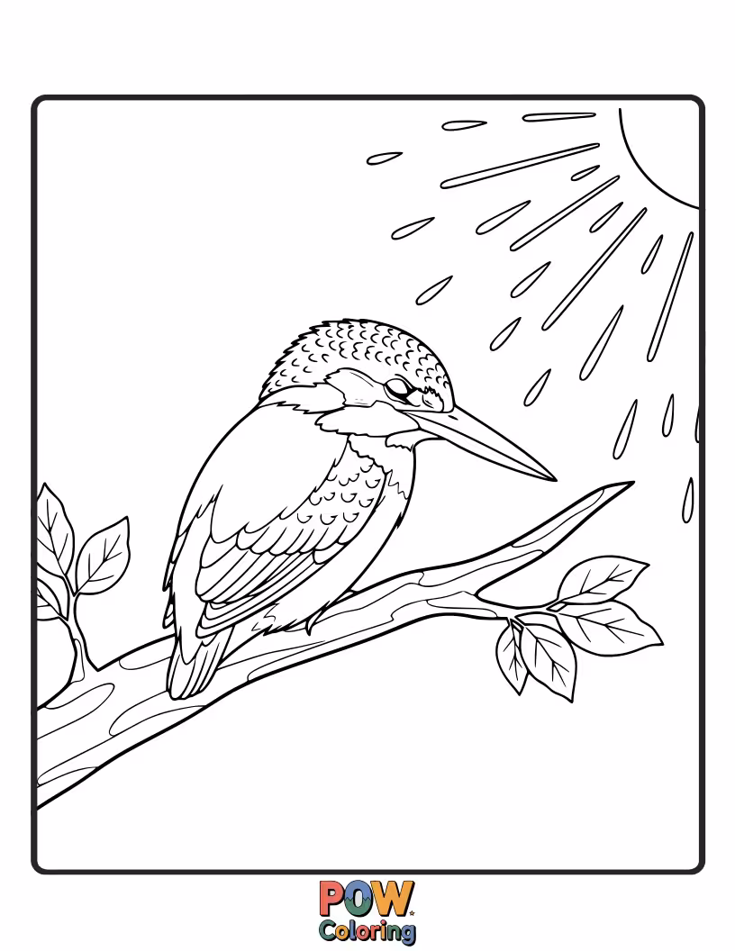 Free coloring page of A relaxed KingFisher taking a peaceful nap on a sun-drenched rock, feathers ruffled slightly.