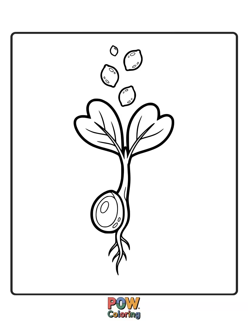 Free coloring page of A tiny lemon sprout emerging from the earth, symbolizing new beginnings. Gentle and hopeful.