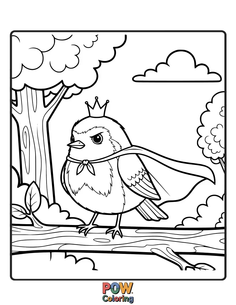 Free coloring page of A determined robin with a bright red chest, standing tall and looking ready for adventure.