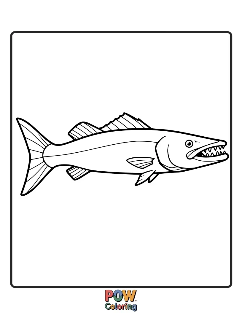 Free coloring page of A sleek barracuda outline, introducing children to a different kind of ocean predator in a simple, approachable design.