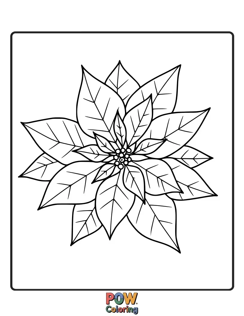Free coloring page of The vibrant red and green leaves of a poinsettia, a classic symbol of the holiday season. Delicate and beautiful.