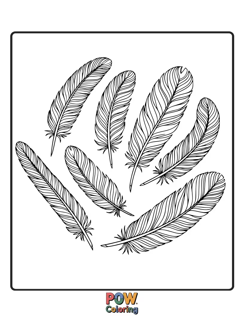 Free coloring page of A collection of feathers drawn with distinct artistic brush strokes, emphasizing texture and detail for coloring.