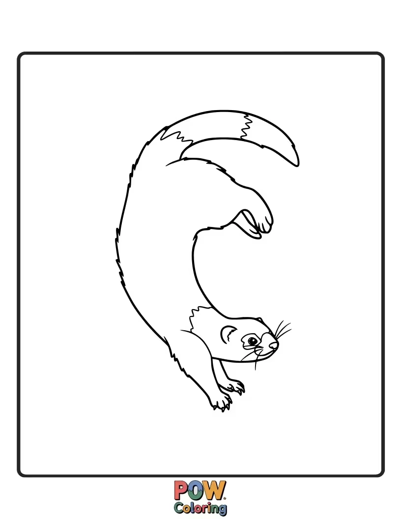 Free coloring page of An athletic ferret captured mid-air, performing a playful somersault.