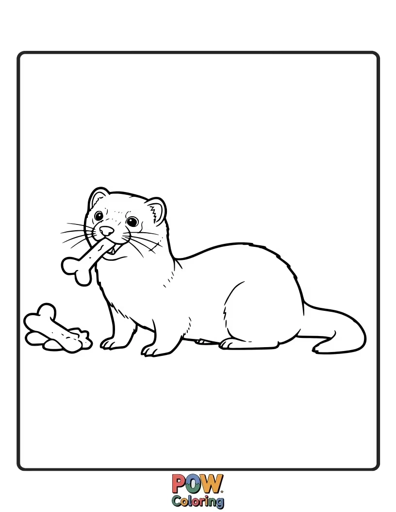 Free coloring page of A delighted ferret enjoying a yummy, small treat with a happy expression.