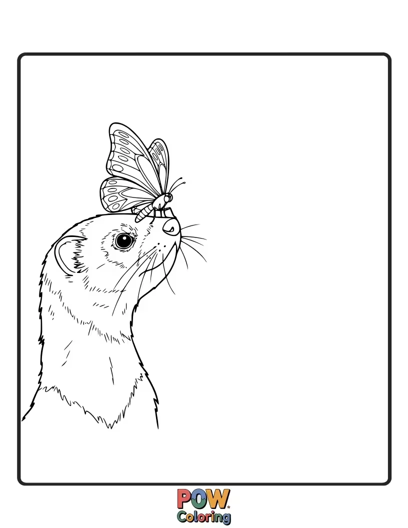 Free coloring page of A gentle ferret watching a beautiful butterfly flutter by.