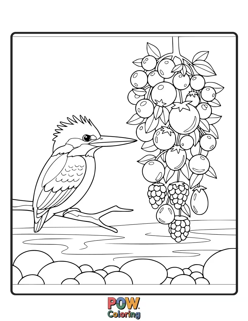 Free coloring page of A KingFisher happily munching on a single, plump, stylized berry held carefully in its claws.