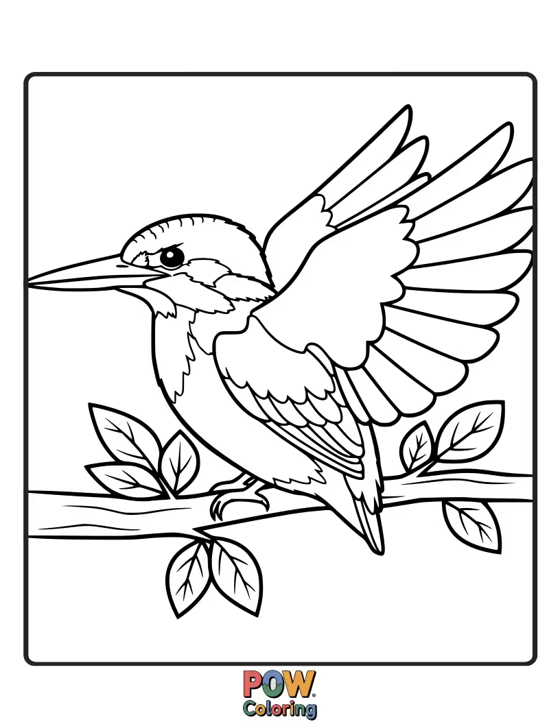 Free coloring page of A creative KingFisher with one wing displaying a beautiful, simple rainbow pattern, a unique touch.