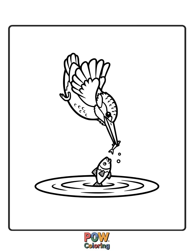 Free coloring page of A charming KingFisher with bright eyes preparing for a small, gentle plunge into calm, sparkly water.