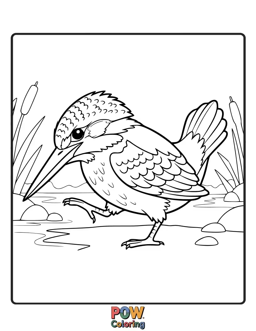 Free coloring page of A funny KingFisher taking a surprisingly clumsy little walk on a log, with a determined expression.