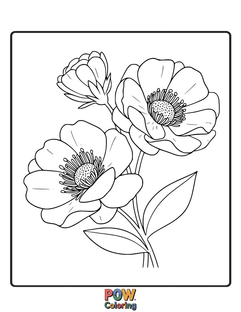Free coloring page of Unique flowers that bloom only at night offer a fascinating and imaginative subject for mysterious and captivating colors.