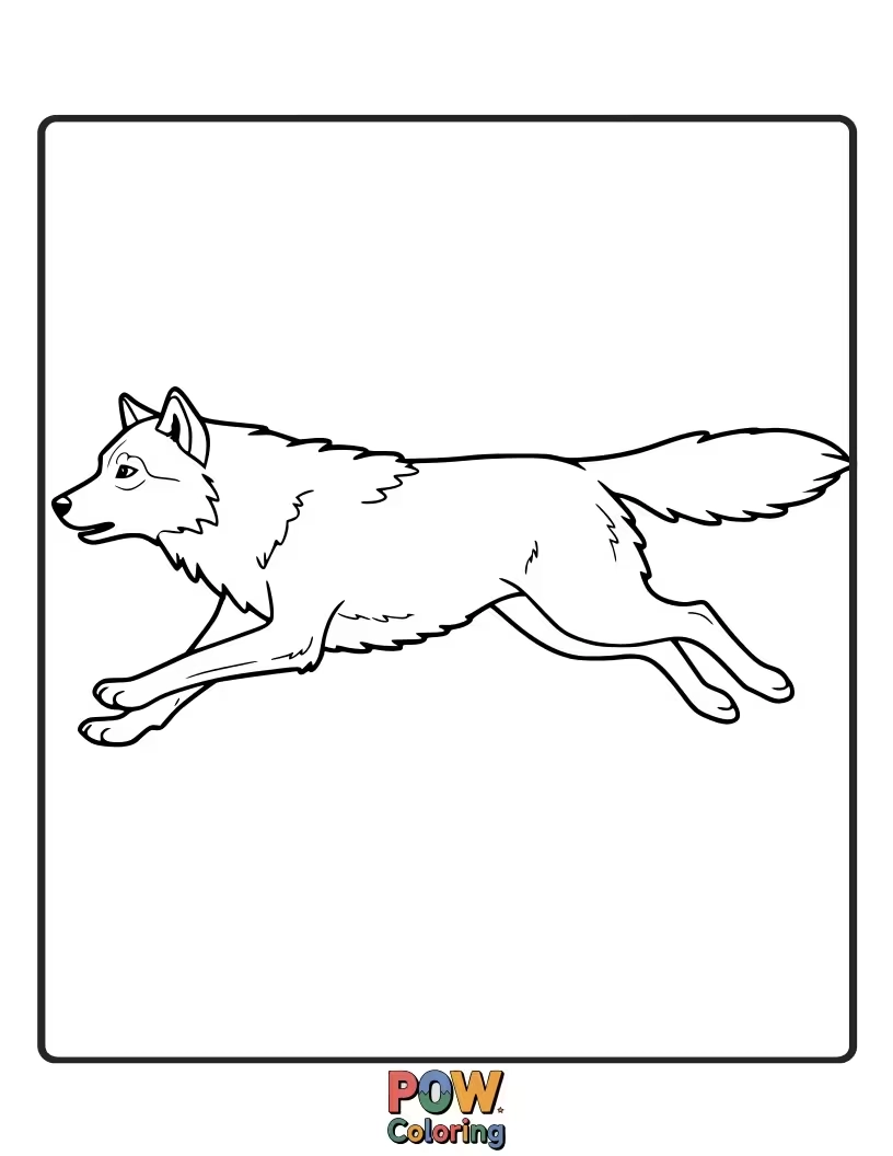 Free coloring page of A dynamic illustration of a wolf in full stride, its muscles rippling as it runs through the snow.