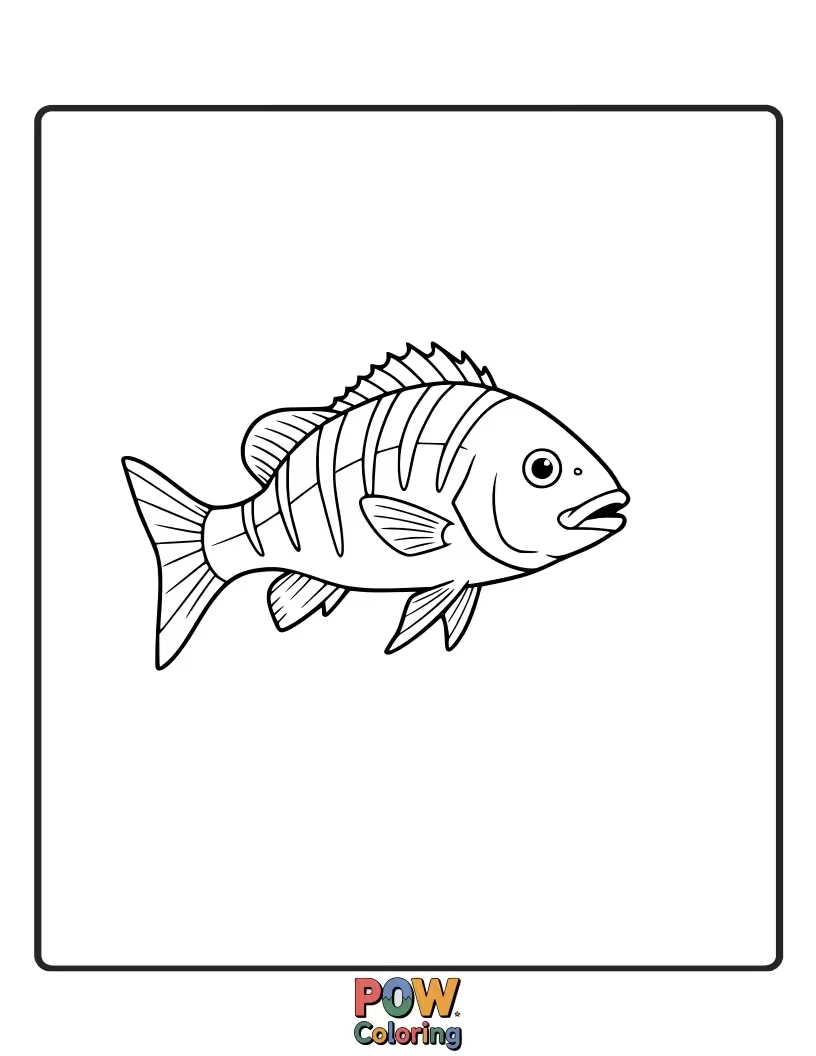Free coloring page of A snapper fish with bold stripes, perfect for practicing precision coloring and color pattern application.