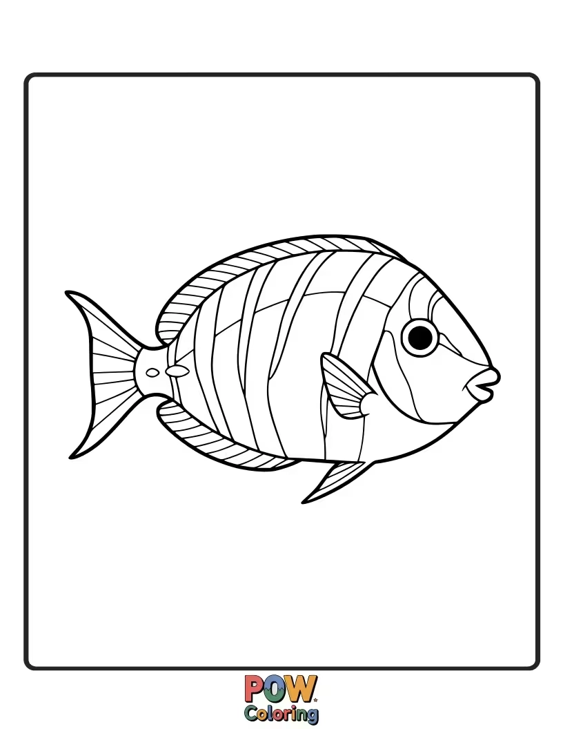 Free coloring page of A surgeonfish with distinct stripes, offering a clear pattern for children to follow with their coloring tools.