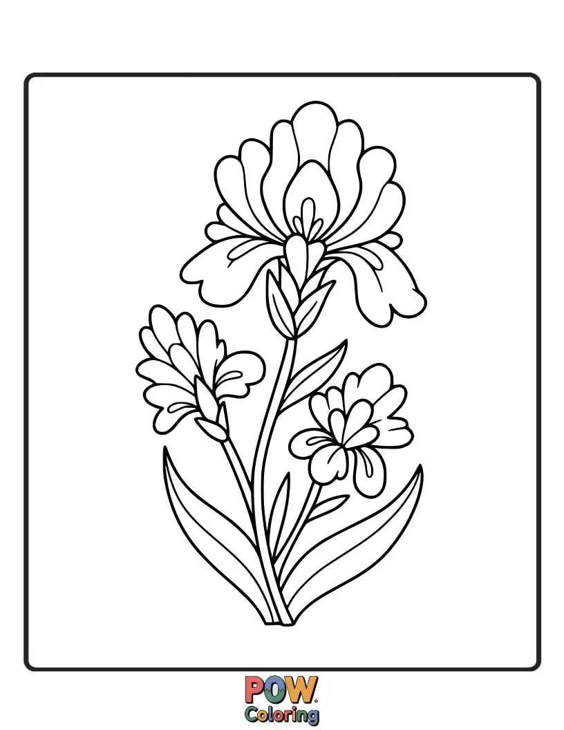 Free coloring page of Elegant wild irises with distinctive petal shapes provide a beautiful and artistic canvas for colorful interpretation.
